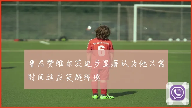 鲁尼赞维尔茨进步显著认为他只需时间适应英超环境